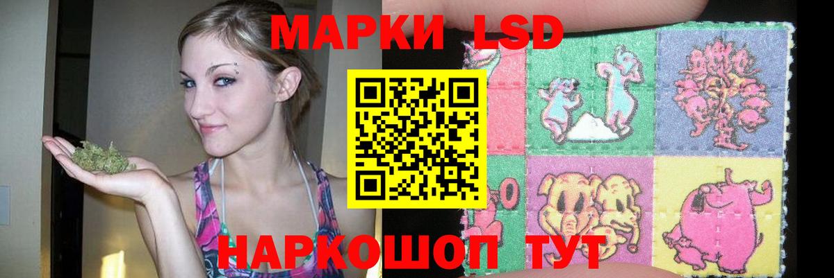 Тольятти  Лсд 25 экстази ecstasy  Вход с VPN 